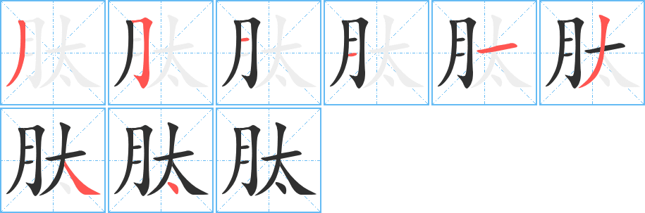 肽的笔顺分步演示