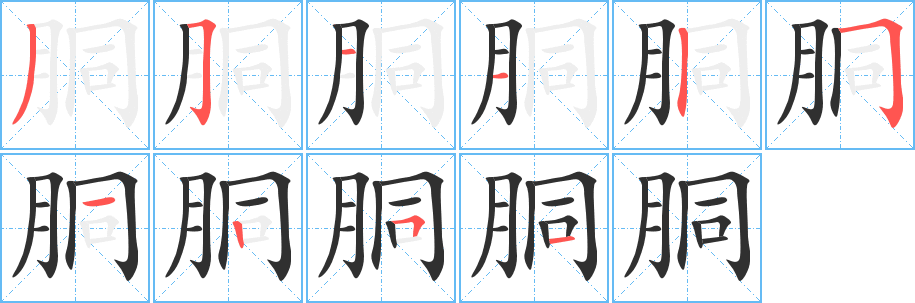 胴的笔顺分步演示