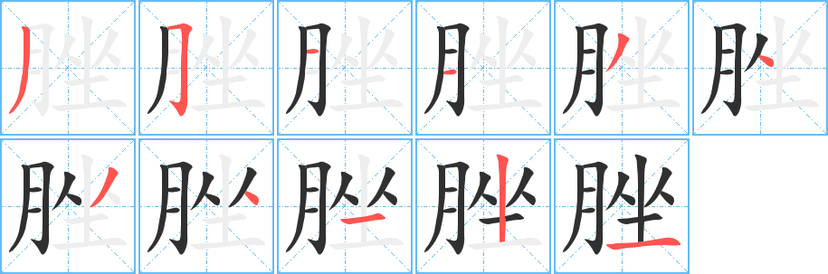 脞的笔顺分步演示