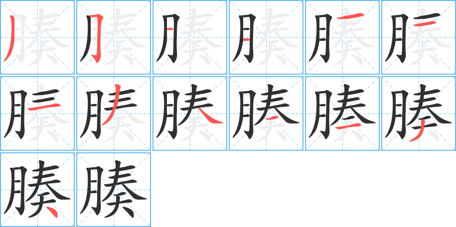 腠的笔顺分步演示