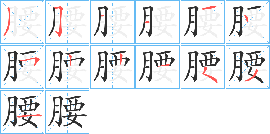 腰的笔顺分步演示