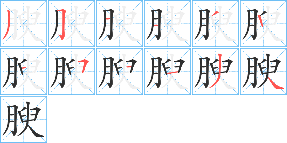 腴的笔顺分步演示