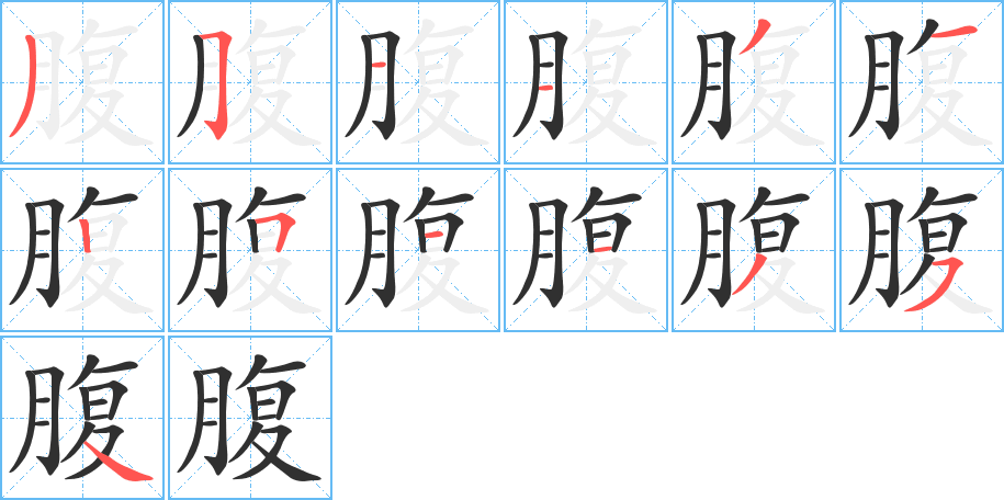 腹的笔顺分步演示