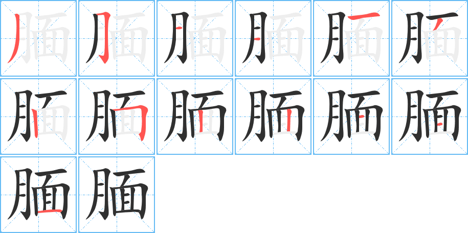 腼的笔顺分步演示