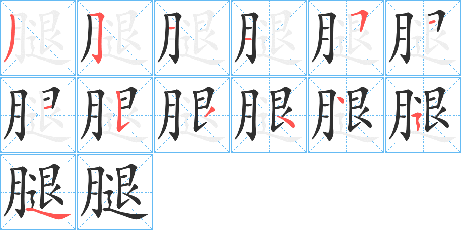 腿的笔顺分步演示