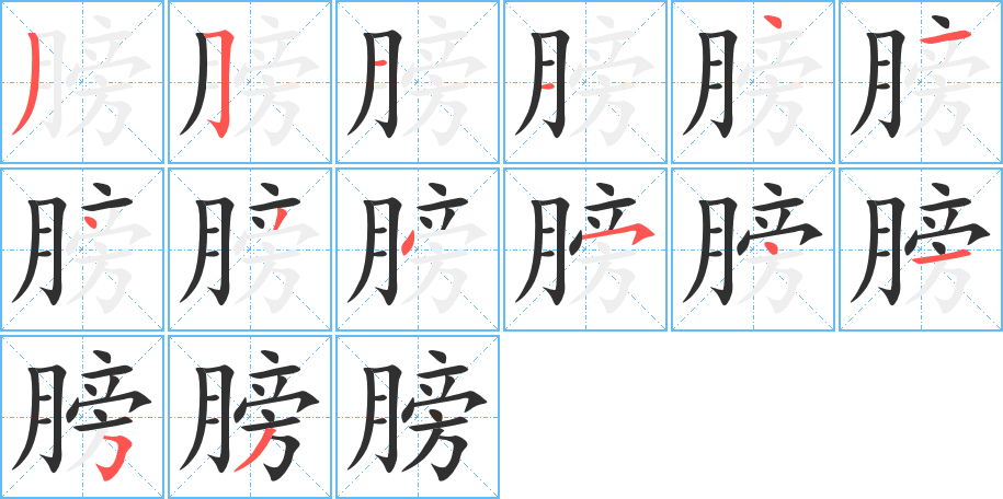 膀的笔顺分步演示