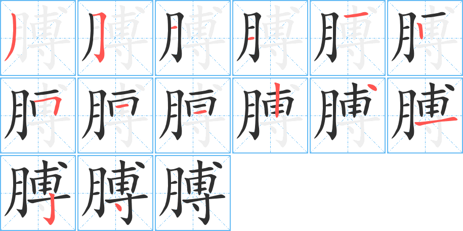 膊的笔顺分步演示