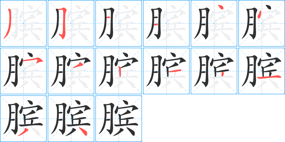 膑的笔顺分步演示