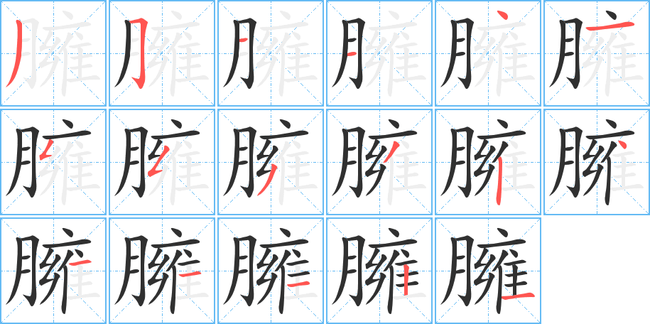 臃的笔顺分步演示