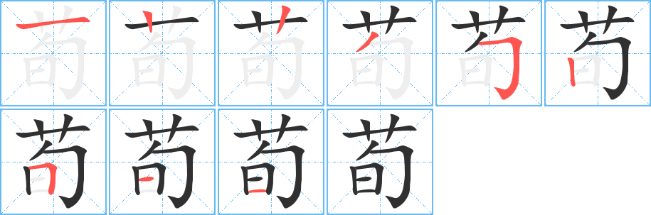 荀的笔顺分步演示