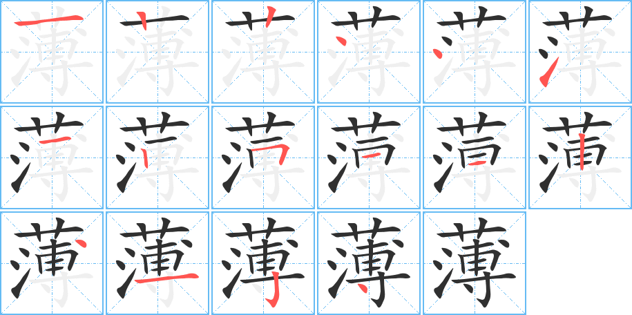 薄的笔顺分步演示