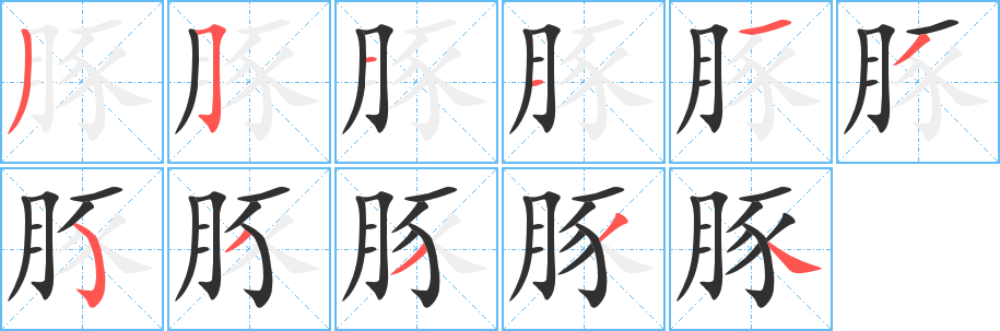 豚的笔顺分步演示