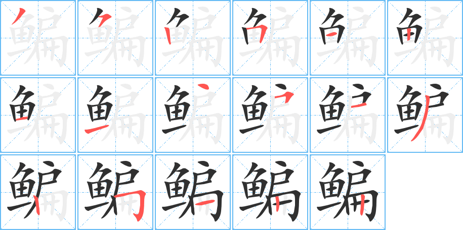 鳊的笔顺分步演示