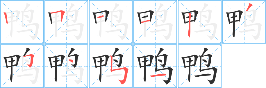 鸭的笔顺分步演示